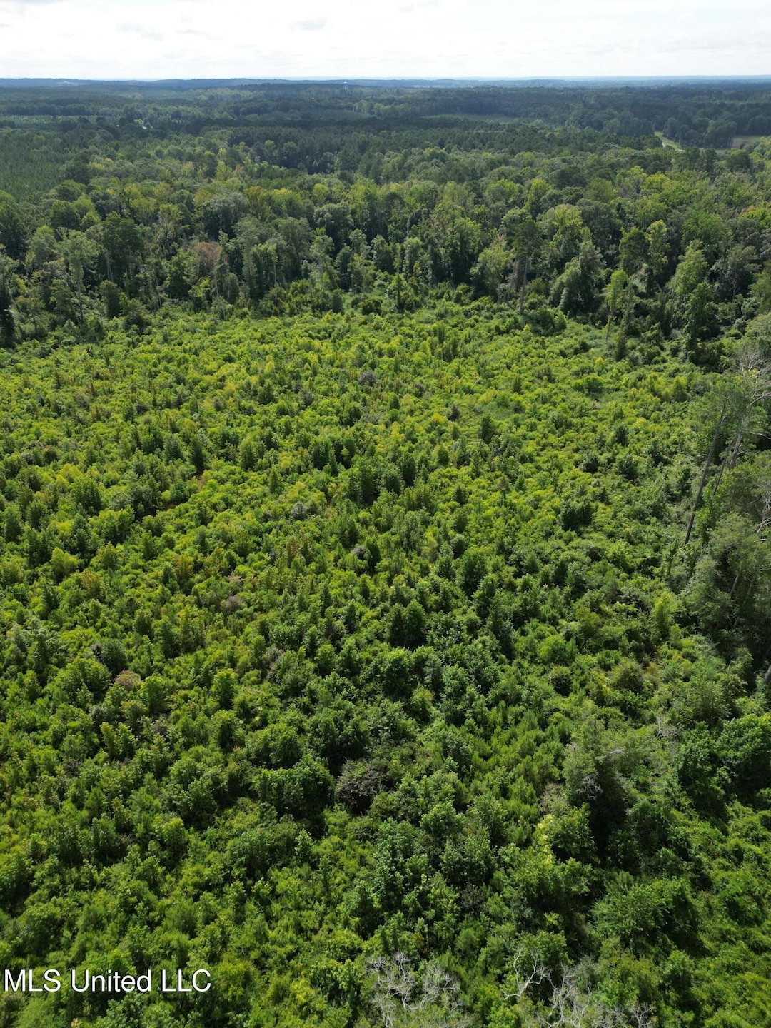 00 Johns Shiloh Rd, Brandon, MS 39042 - photo 1