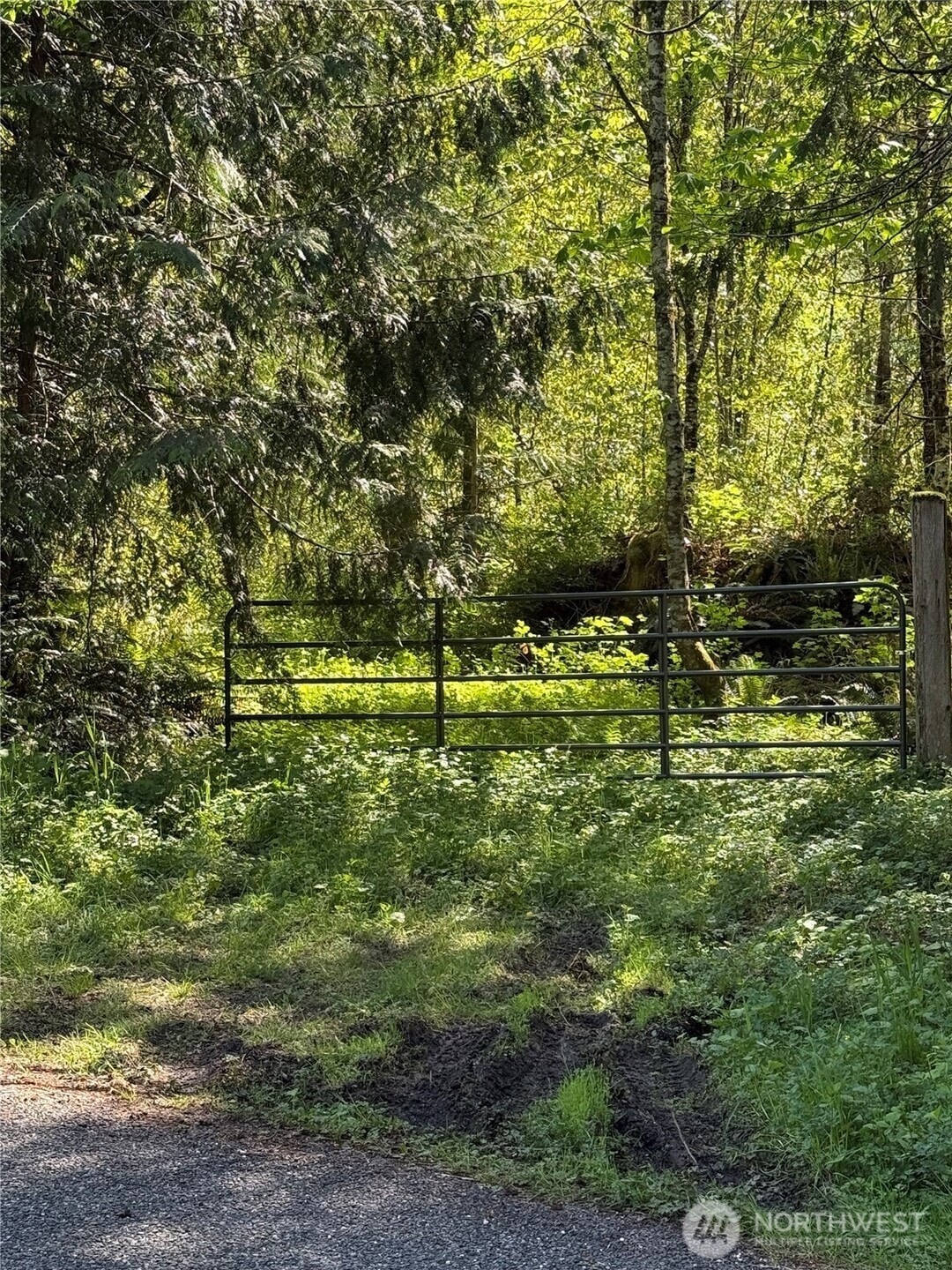 Sold $142,500 • Co-Listing Agent