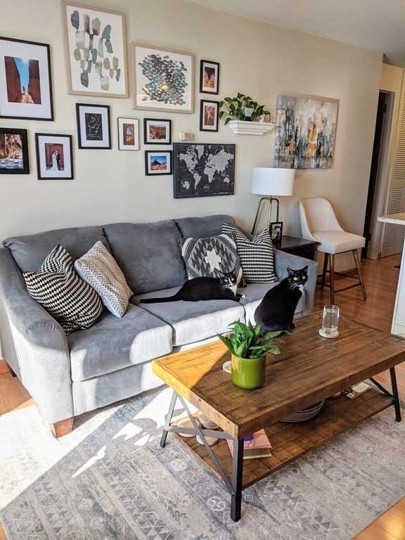 872 Mass Ave unit 411, Cambridge, MA 02139 - photo 1