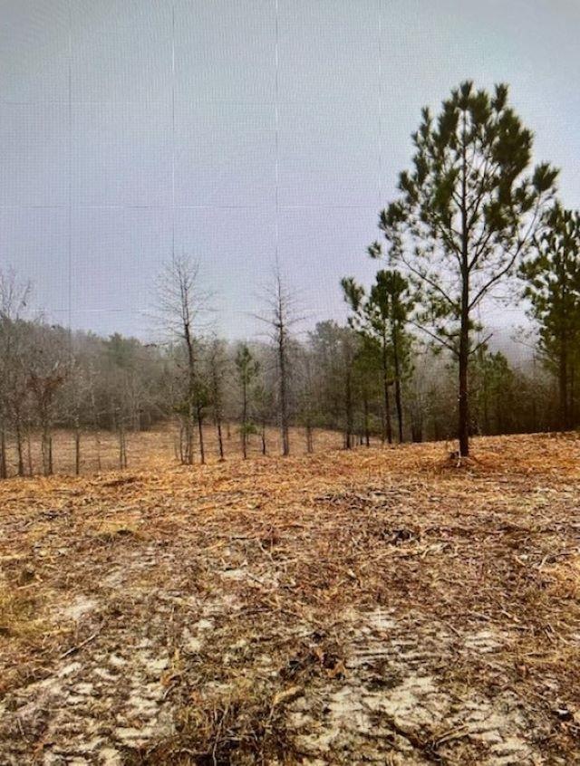 Tract D Marshall Mill Rd, Powersville, GA 31008 - photo 1