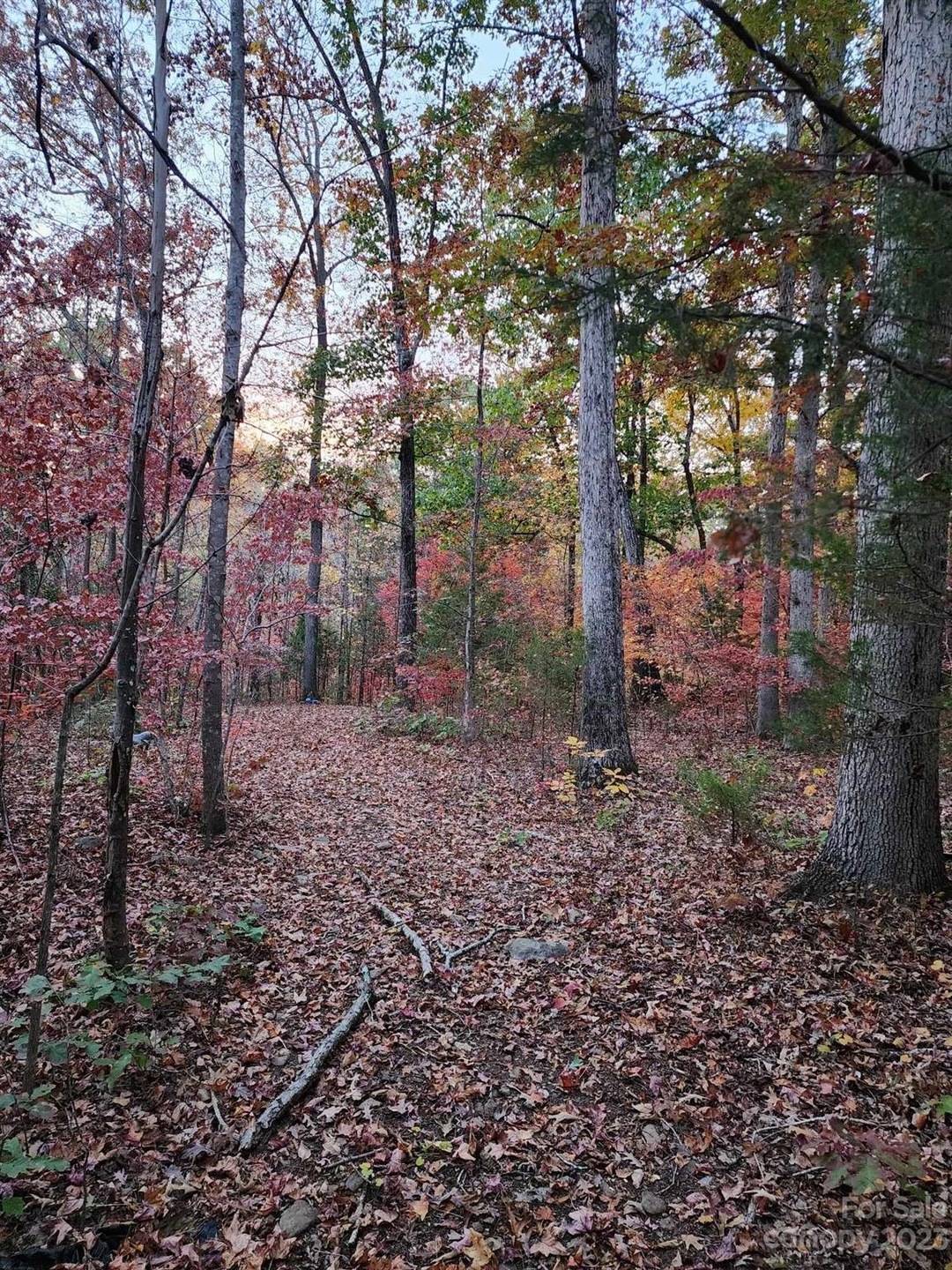 00 State Highway 49 unit 13, Denton, NC 27239 - photo 1