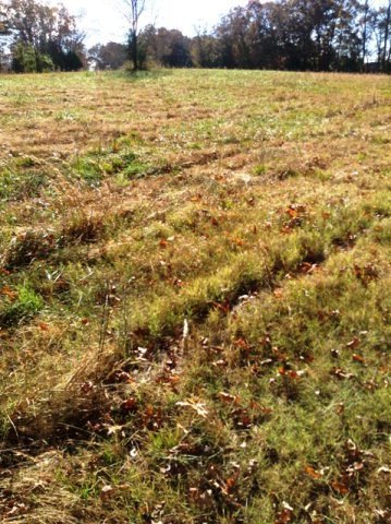 LOT 3 Duncans Chapel Rd, Cookeville, TN 38506 - photo 1