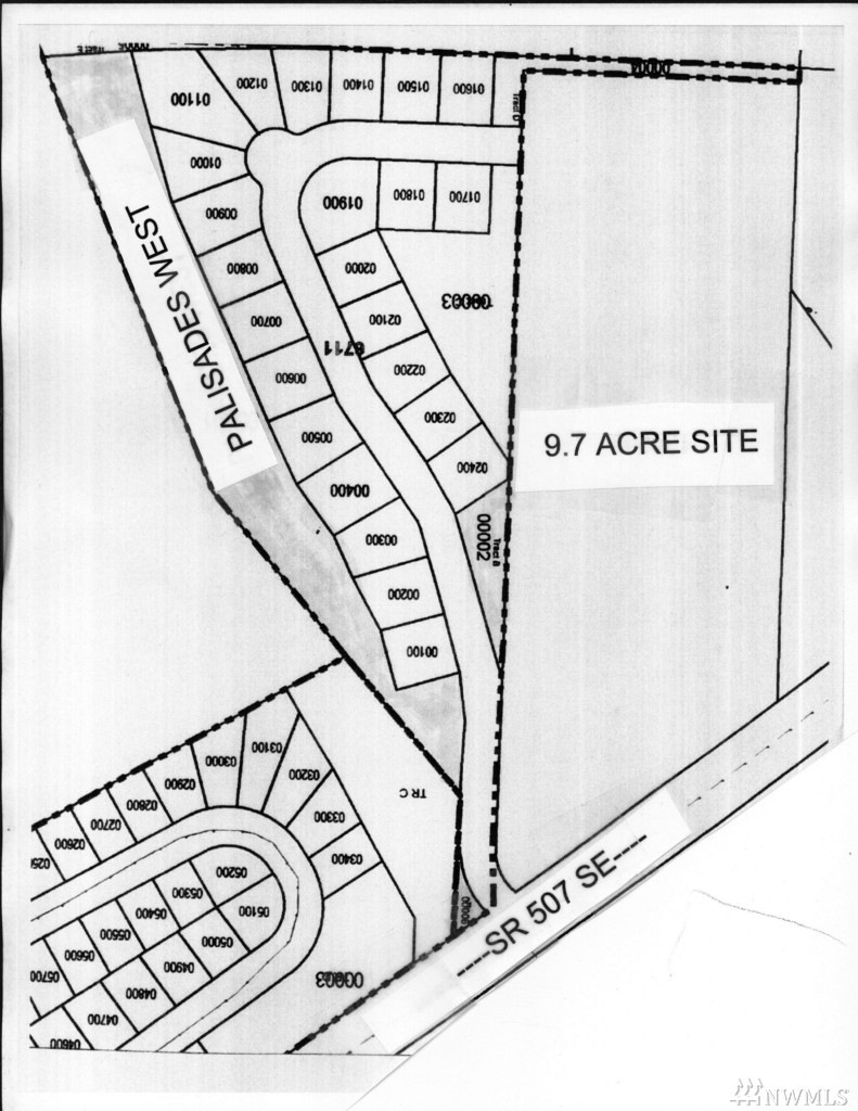 15036 State Route 507 SE, Yelm, WA 98597 - photo 1