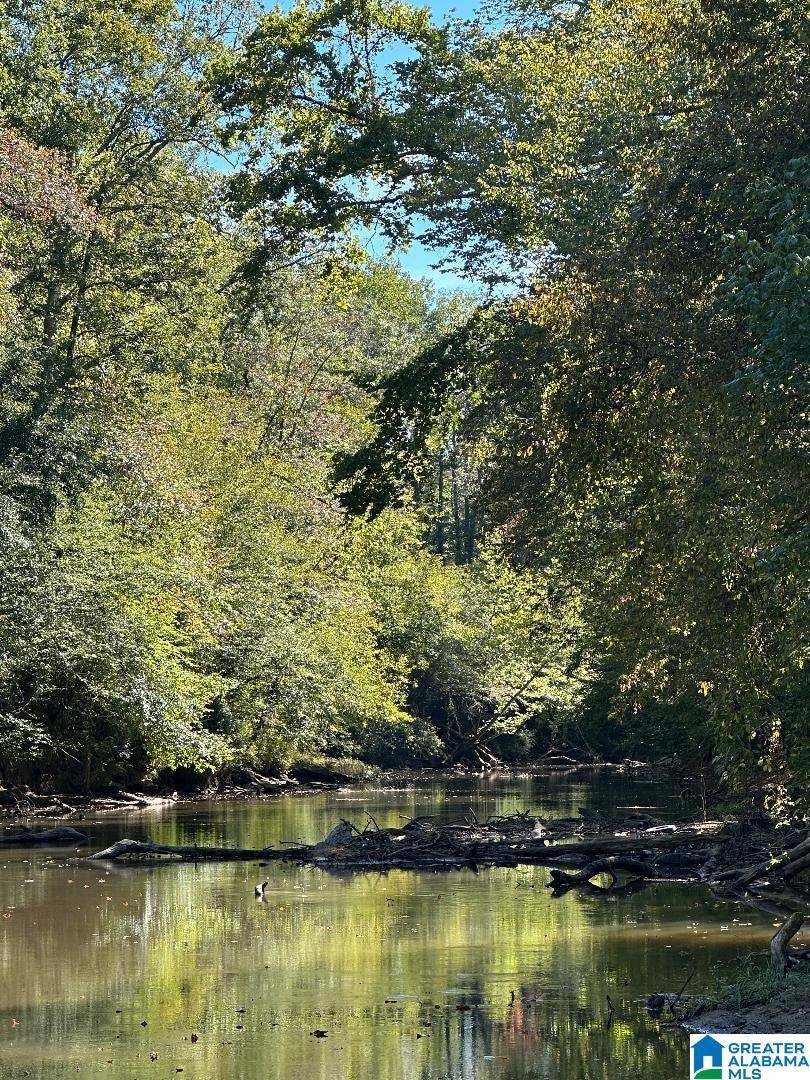 0 County Road 492 unit 1 21400533, Muscadine, AL 36269 - photo 1