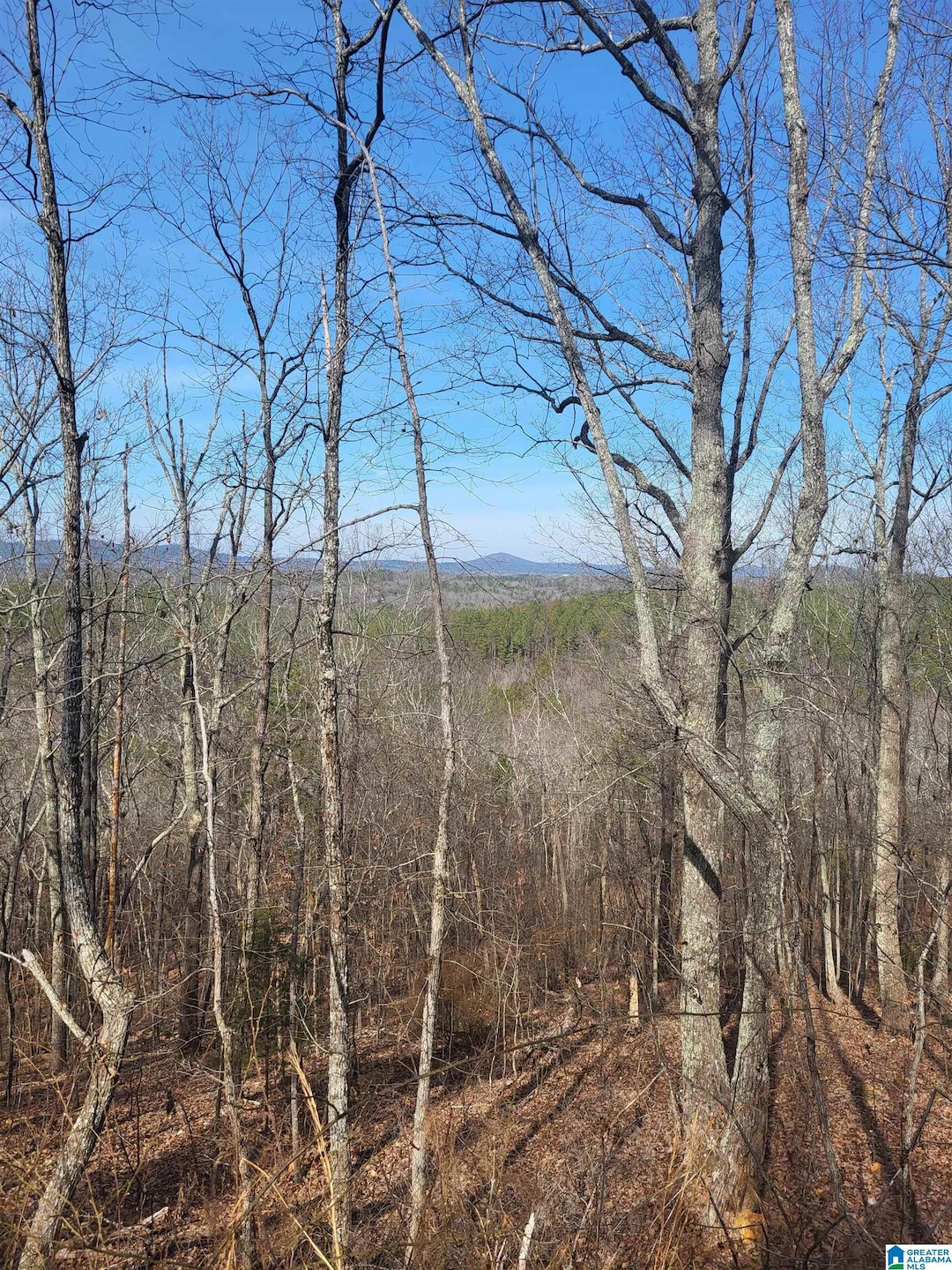 Sold $48,000 • Co-Listing Agent