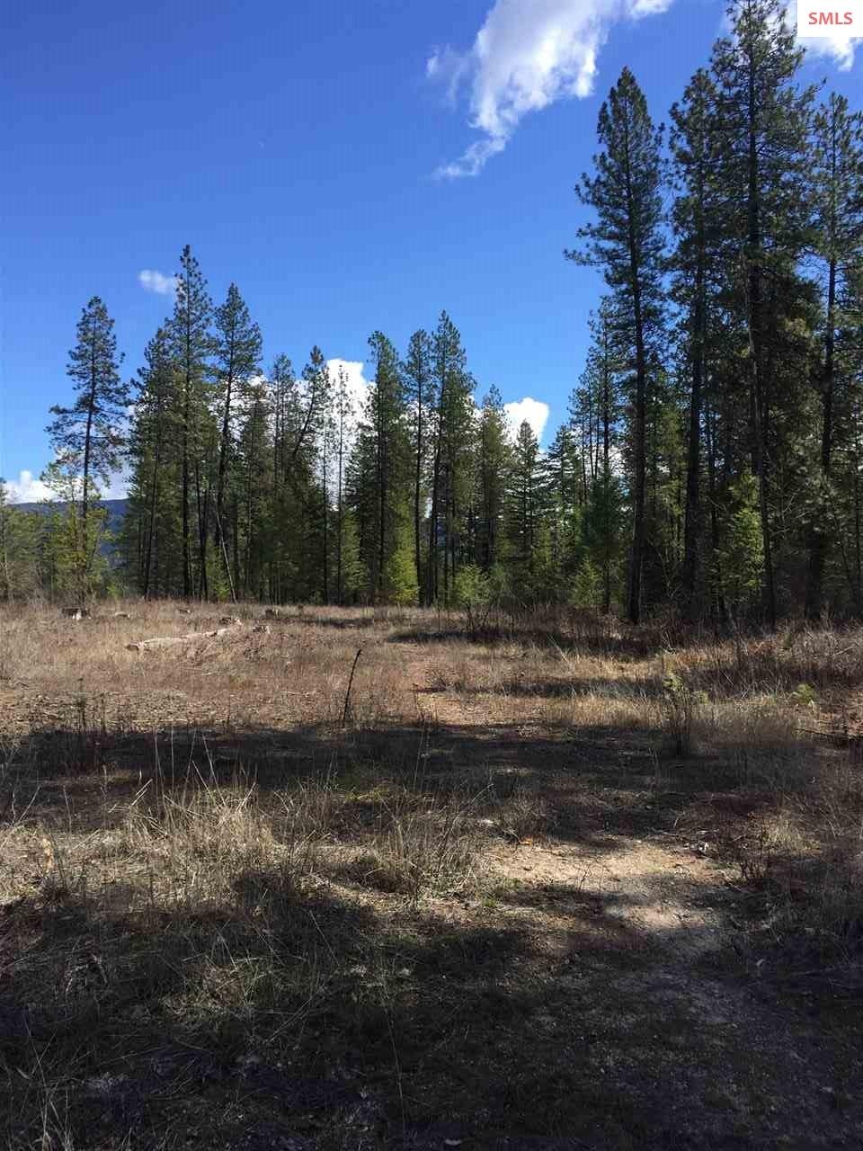 Level Building Lot in the city limits of Priest Ri