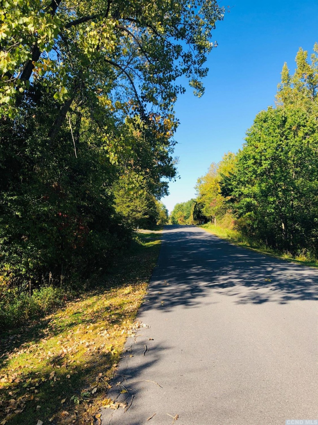 53 - A Sleepy Hollow Rd, Athens, NY 12015 - photo 1