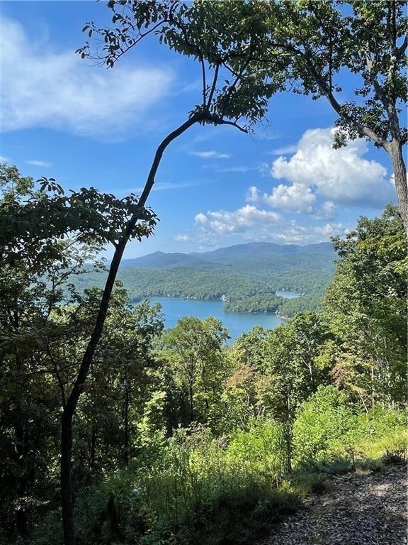 View of Lake Burton