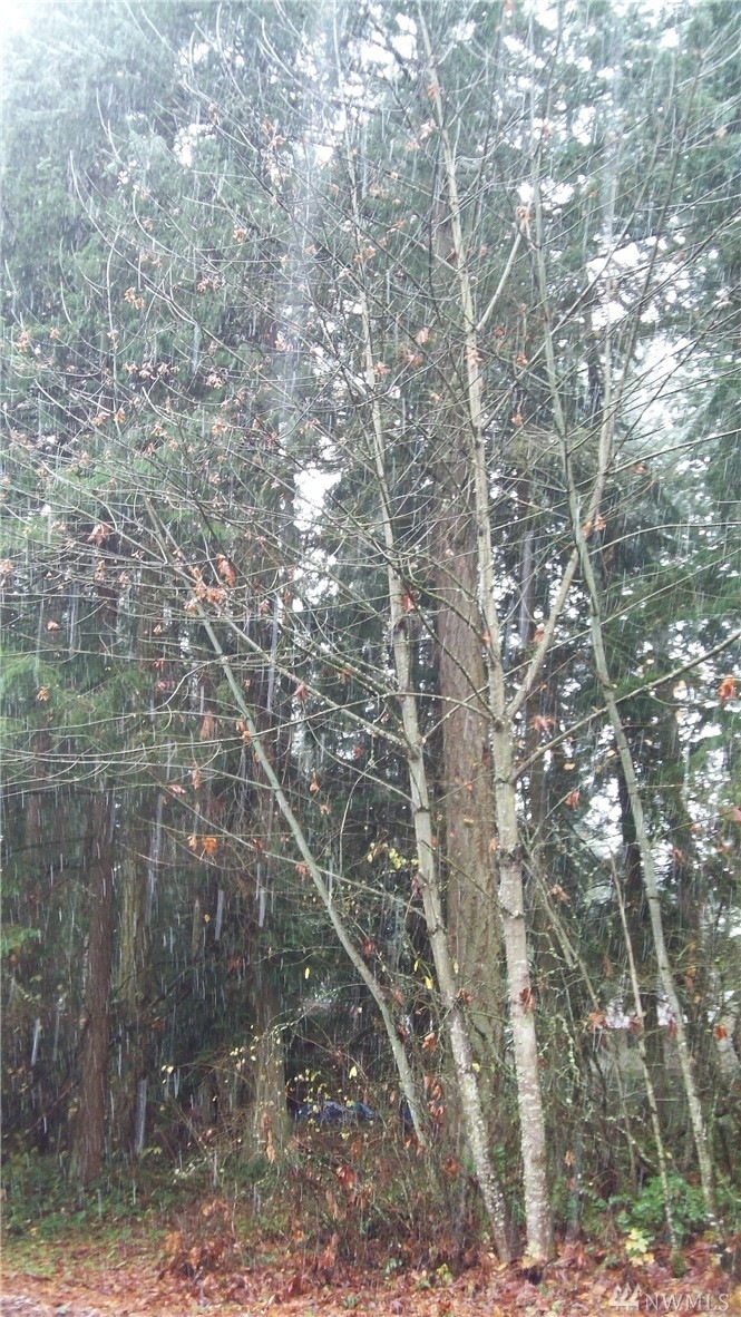 22003 N Clear Lake Blvd SE, Yelm, WA 98597 - photo 1