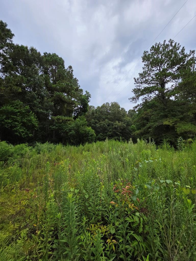 3157 Us Highway 98, McComb, MS 39648 - photo 1