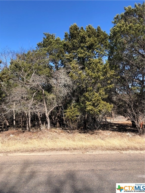 14891 Cart Rd, Temple, TX 76502 - photo 1