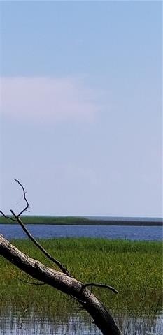 SWENSON Swenson Rd, Au Gres Township, MI 48703 - photo 1