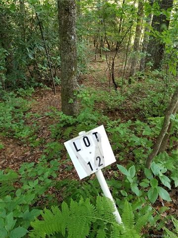 Lot #12 Beginning of pathway into the property at 