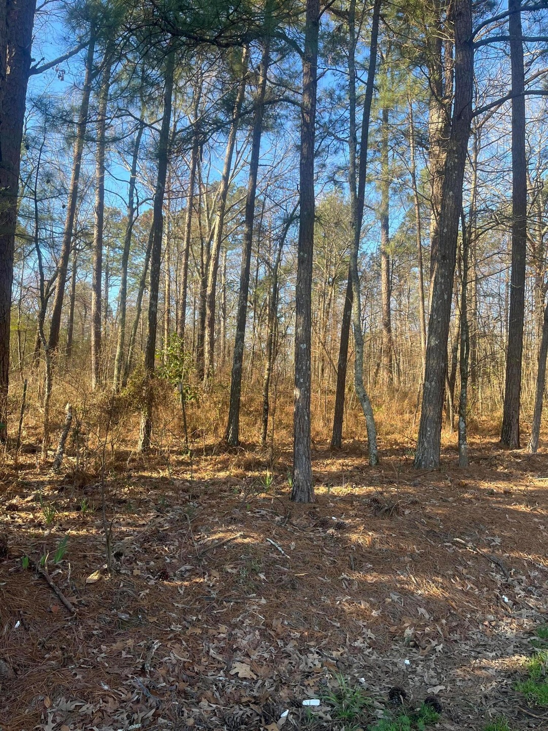 0 N Walston Bridge Rd unit 25-513, Jasper, AL 35504 - photo 1