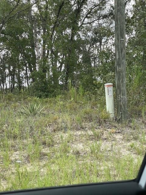 2466 W Rutland Dr, Dunnellon, FL 34434 - photo 1