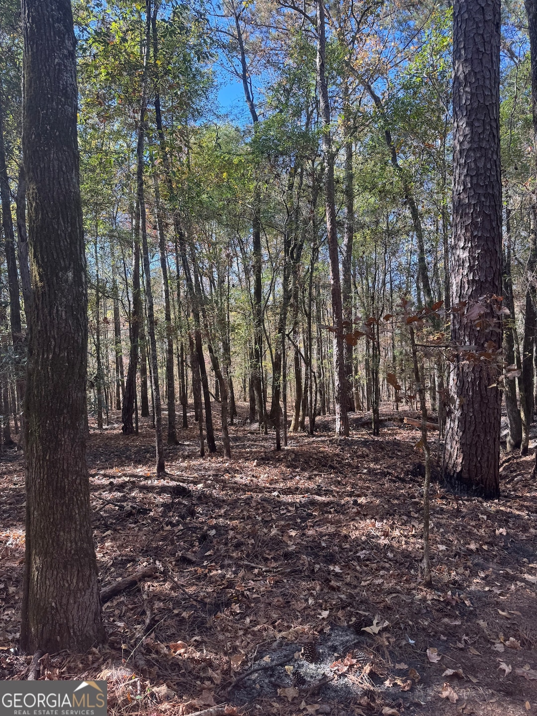 151 W Drummond Rd, West Point, GA 31833 - photo 1