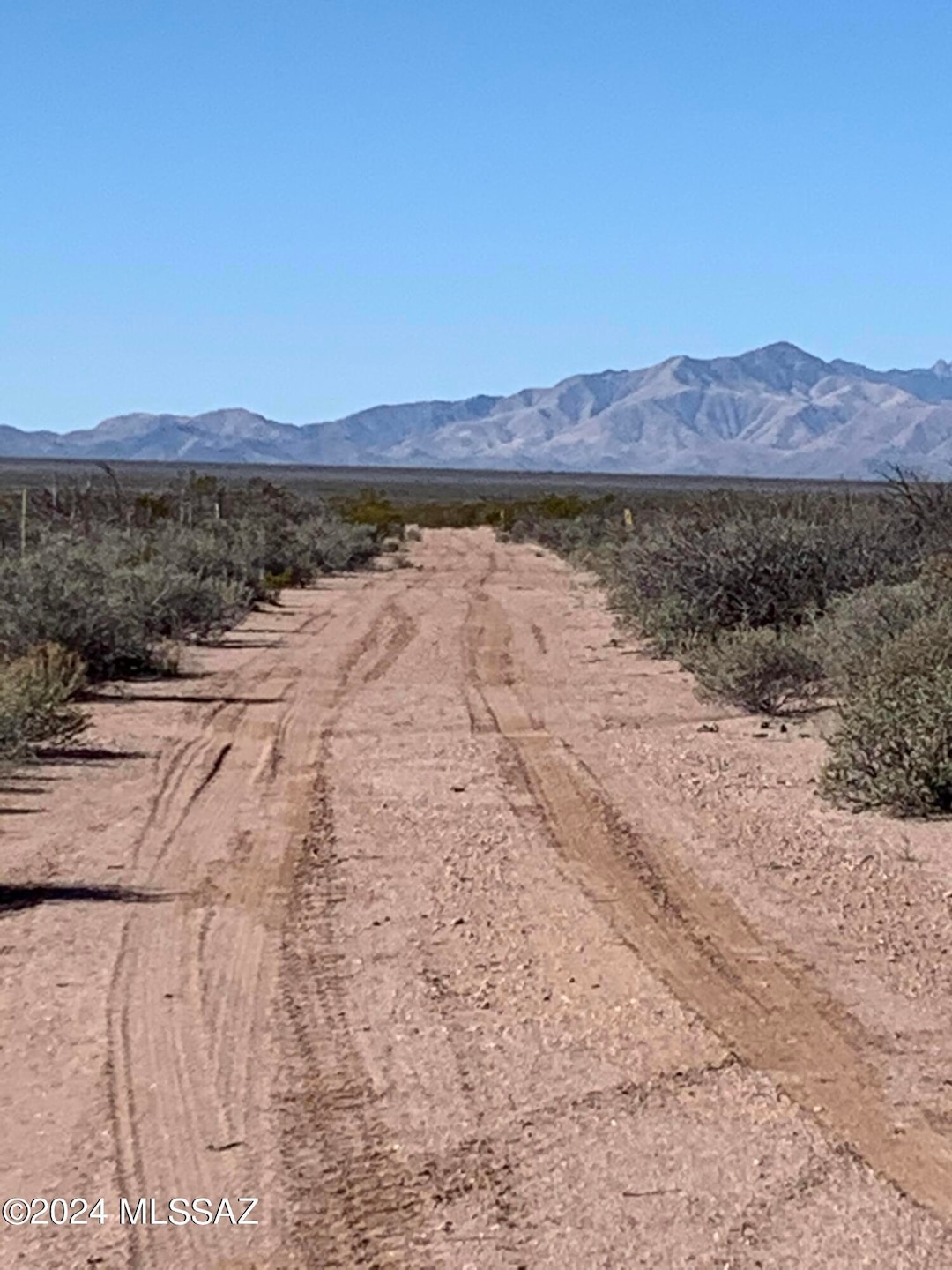 Dirt Road Looking South