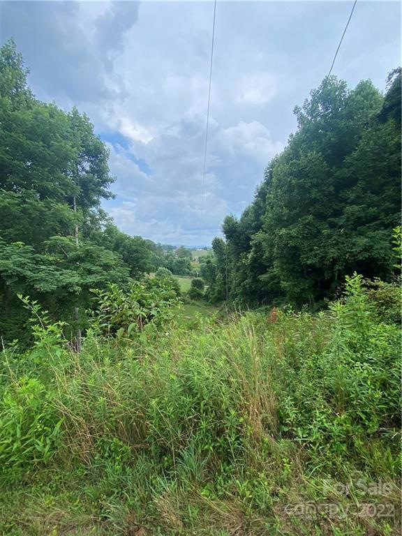 99999 Watsell Dr, Leicester, NC 28748 - photo 1