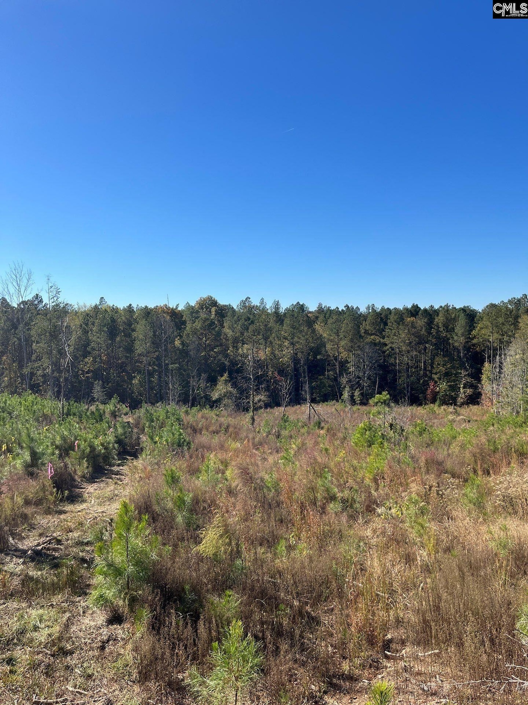 DRF 3 Dawkins Rd unit DRF 3, Pacolet, SC 29372 - photo 1