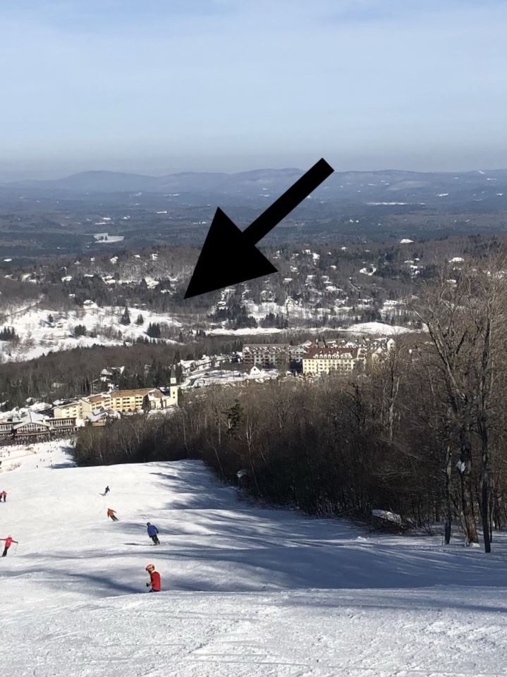 723 Stone House Rd unit F22, Winhall, VT 05155 - photo 1