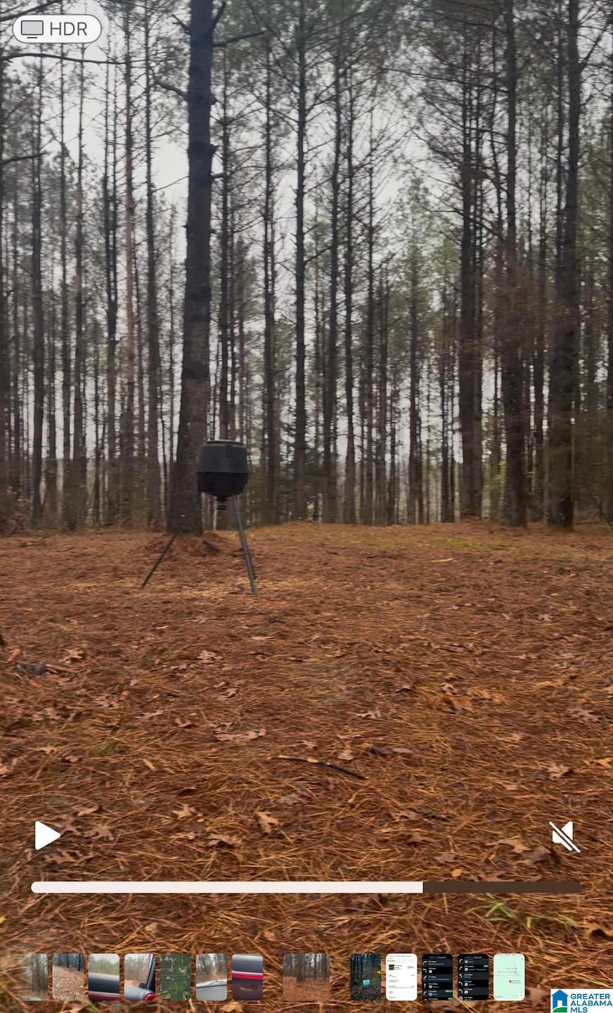 73 acres County Road 93, Bankston, AL 35542 - photo 1