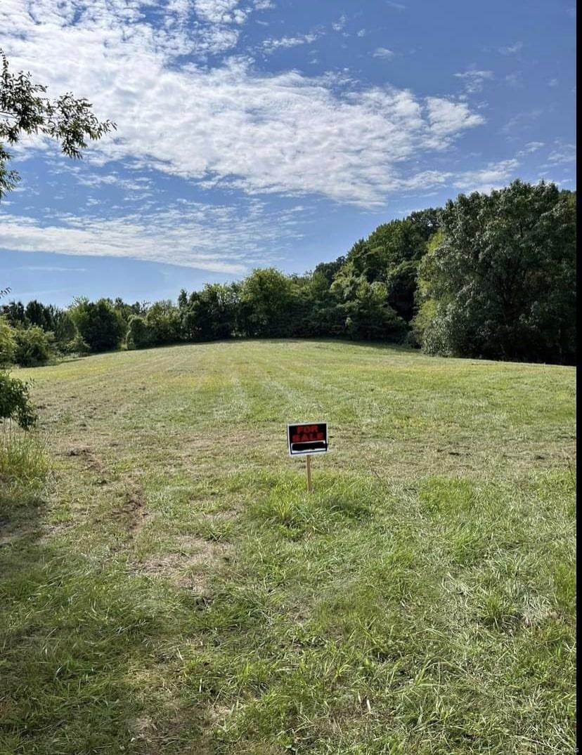 0 Heritage Farm Estates unit 23057329, Jackson, MO 63755 - photo 1