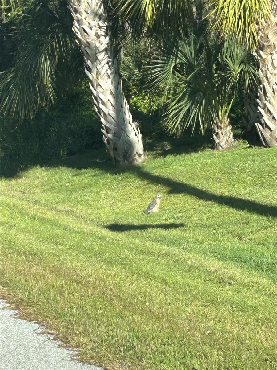 23 Mooring Place, Rotonda Sands, FL 33946 - photo 1