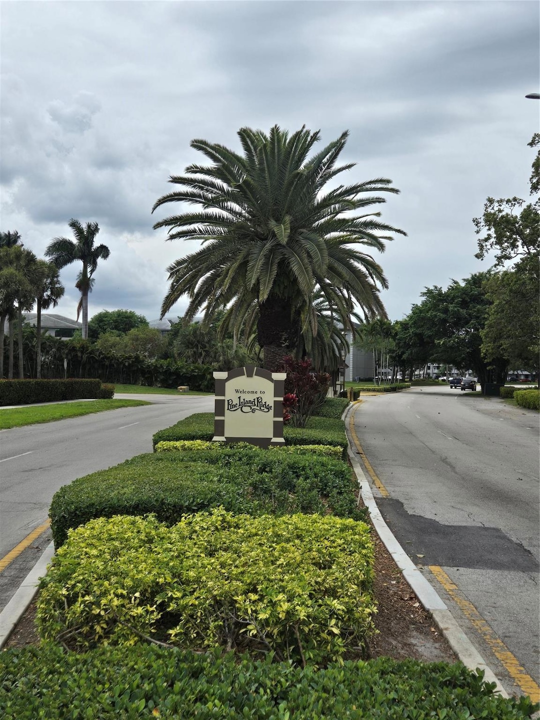 Pine Island Ridge Entrance