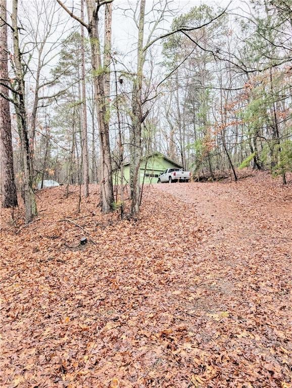 View from front of lot up driveway