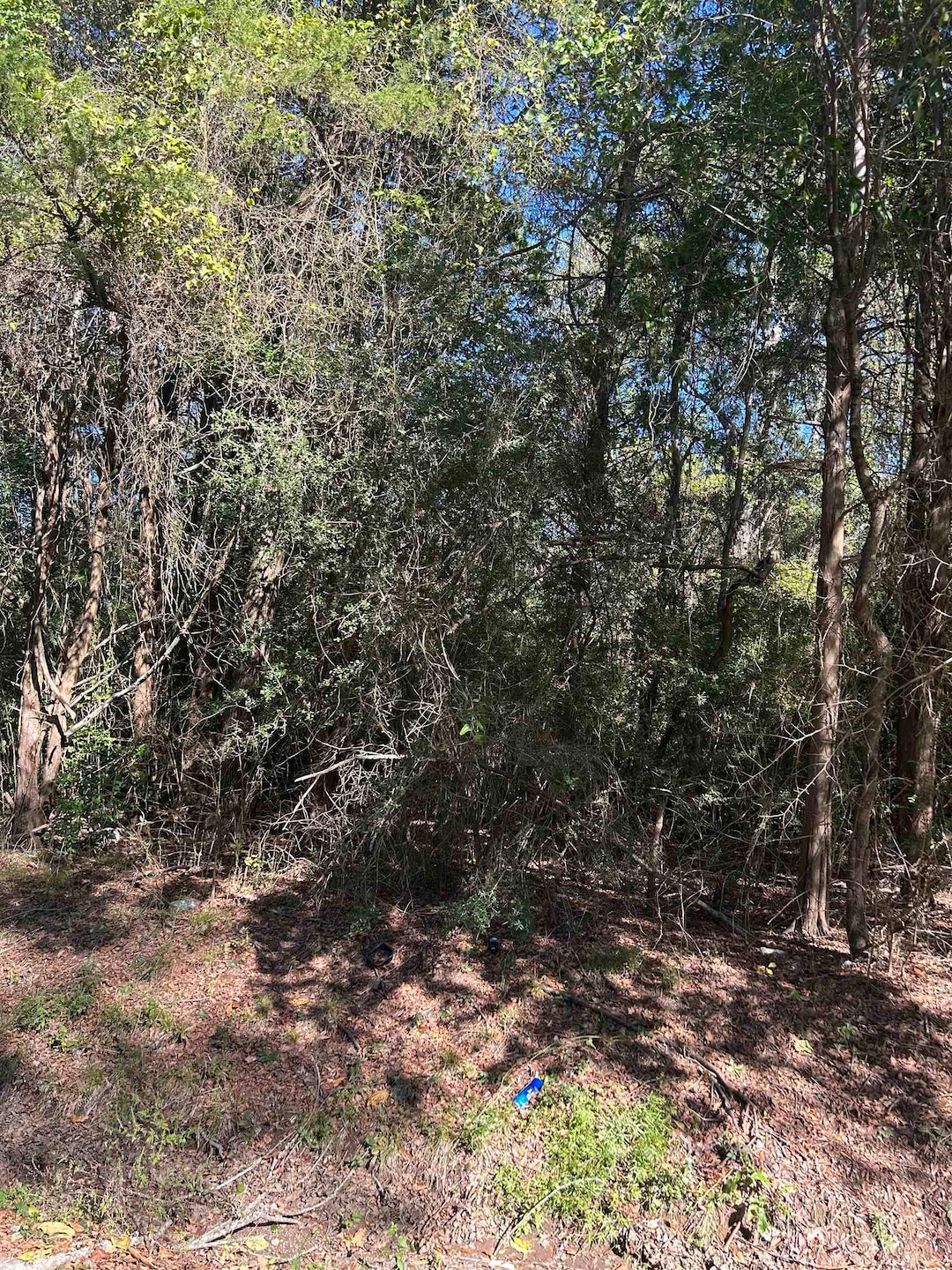 TBD Sanders St, Carthage, TX 75633 - photo 1