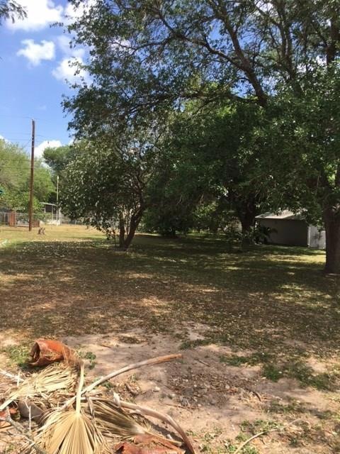 828 North Blvd, Donna, TX 78537 - photo 1