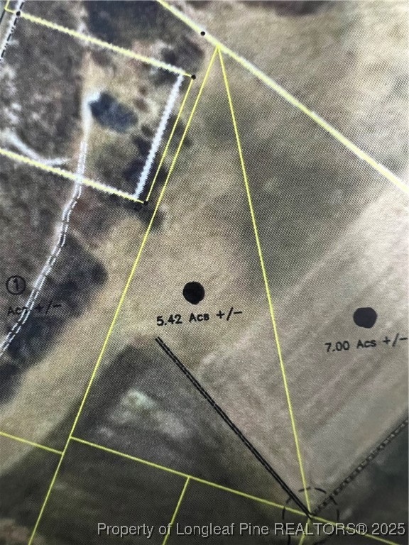 5.42 acres Buie - Philadelphus Rd, Red Springs, NC 28377 - photo 1