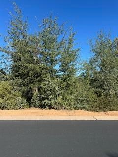 LOT 36 E Velvet Mesquite Ct, Payson, AZ 85541 - photo 1