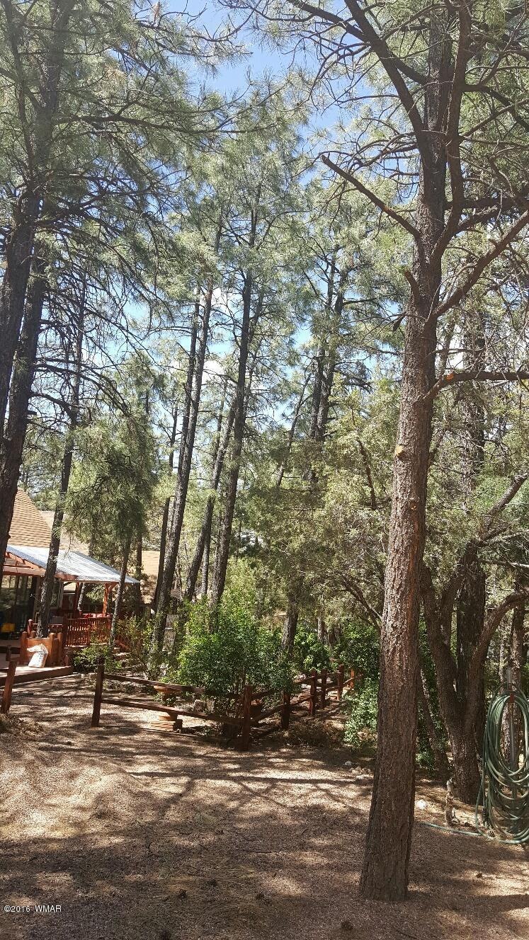 4105 Blue Mountain Ave, Show Low, AZ 85901 - photo 1