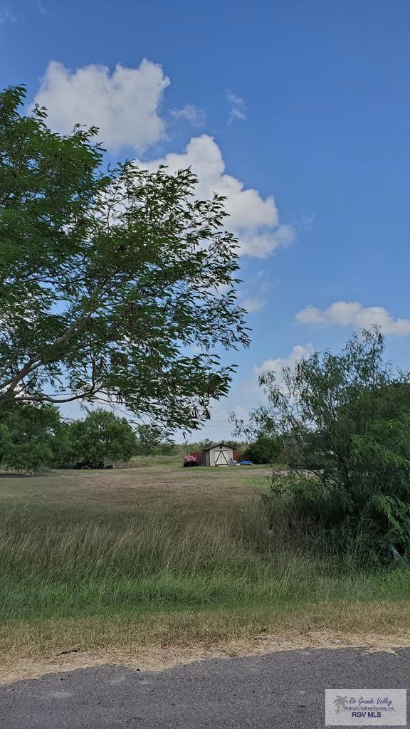 Main View