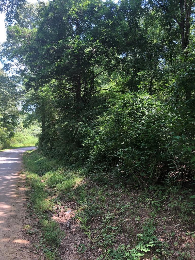 0 Jordan Chapel Rd, Oxford, MS 38655 - photo 1