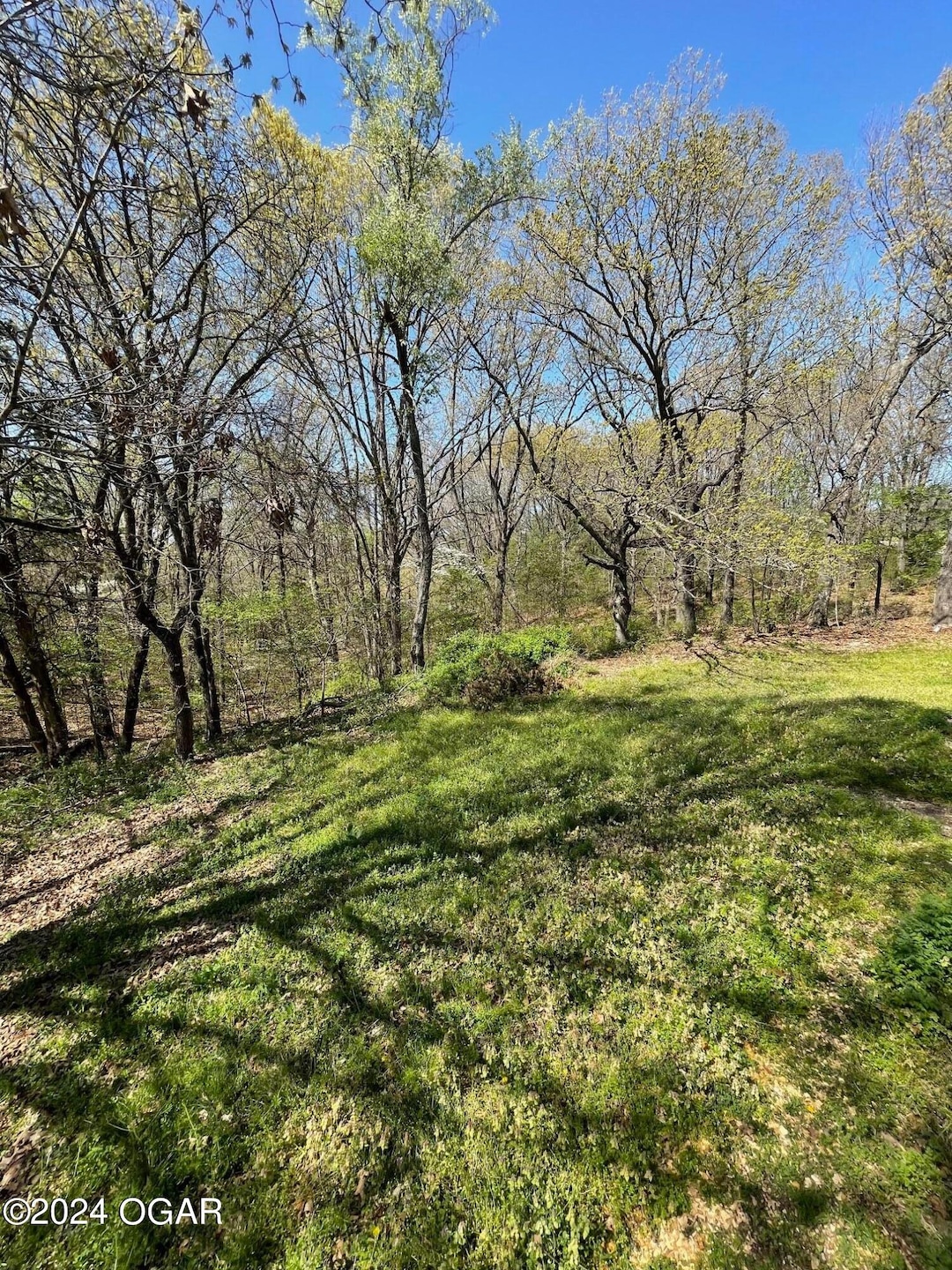 Xxx S High, Neosho, MO 64850 - photo 1