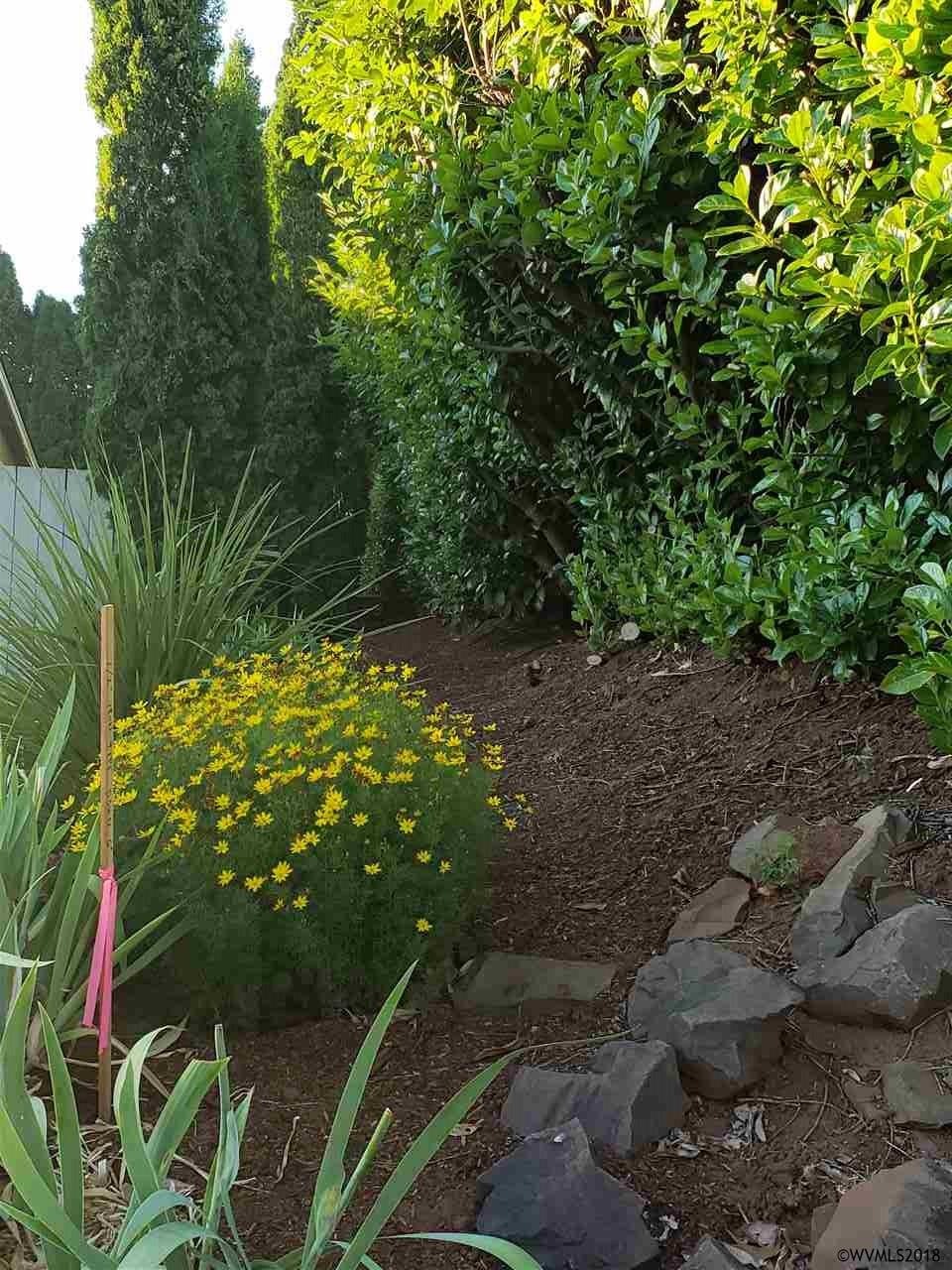 East Property Line