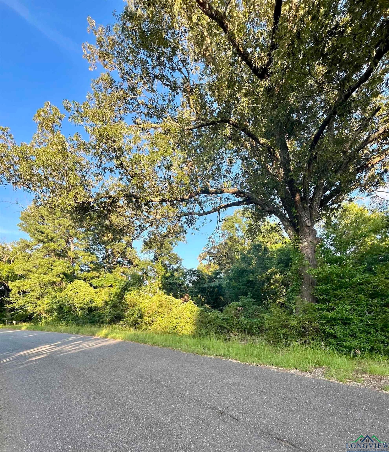 TBD Post Oak Rd, Kilgore, TX 75662 - photo 1