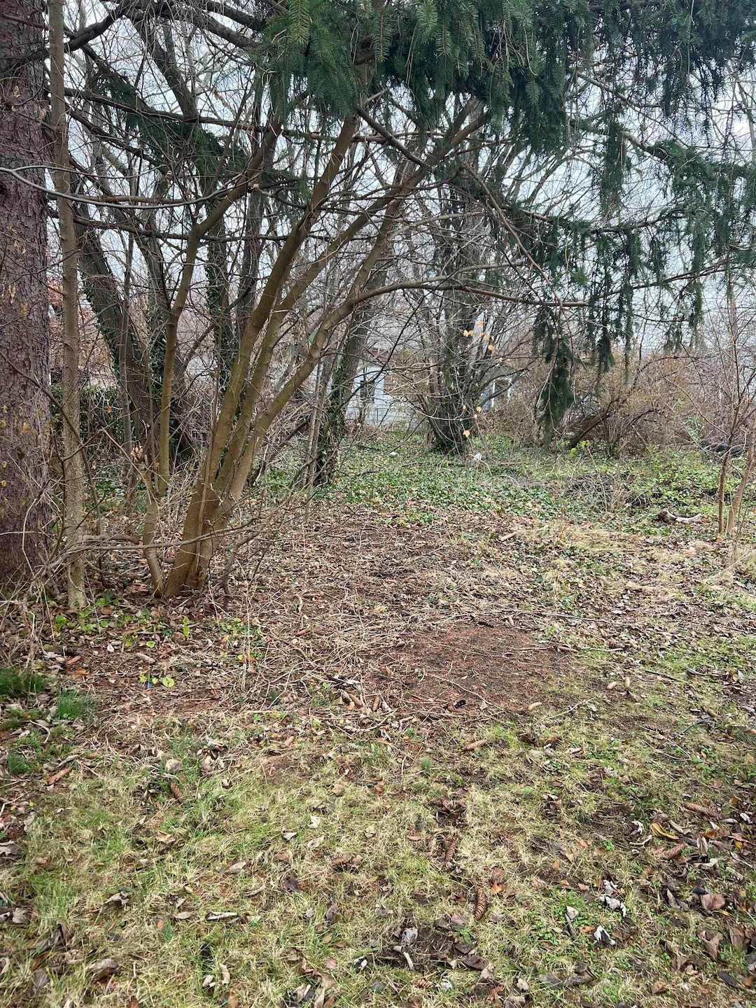 52704 Ida St, South Bend, IN 46637 - photo 1