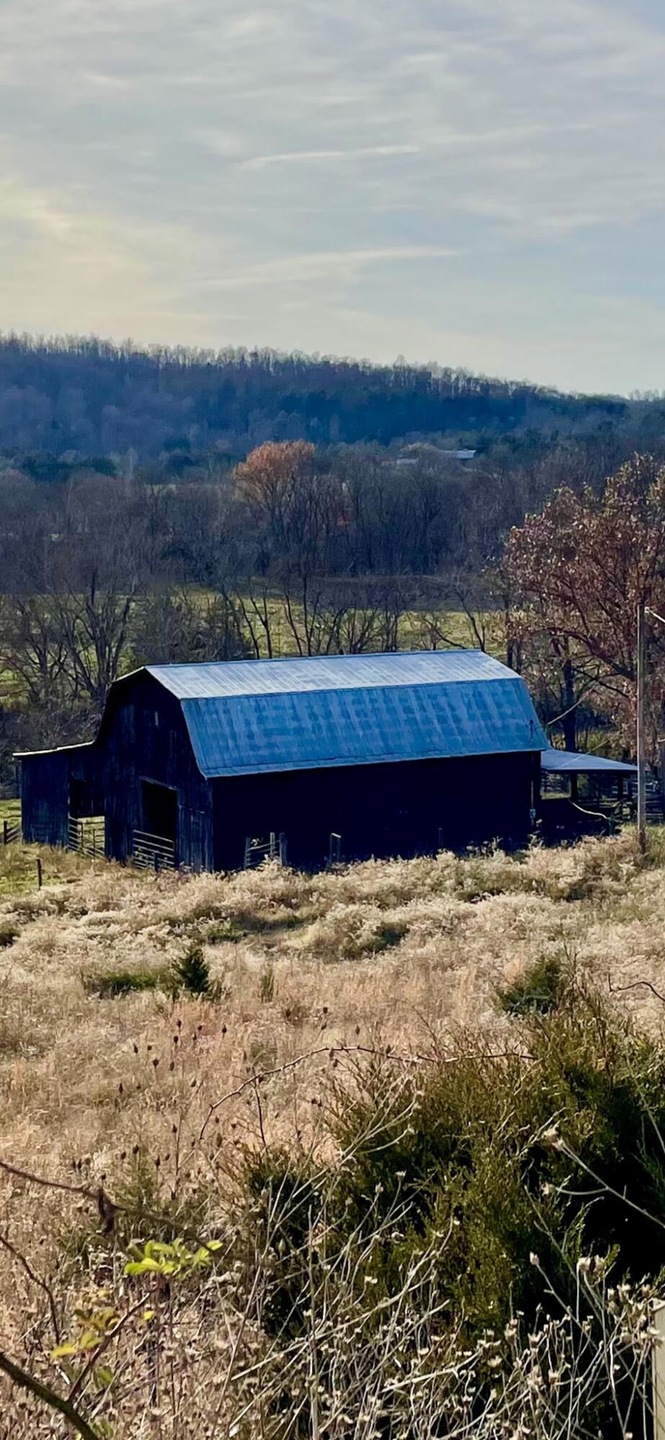 231 Highway 1003, Somerset, KY 42501 - photo 1