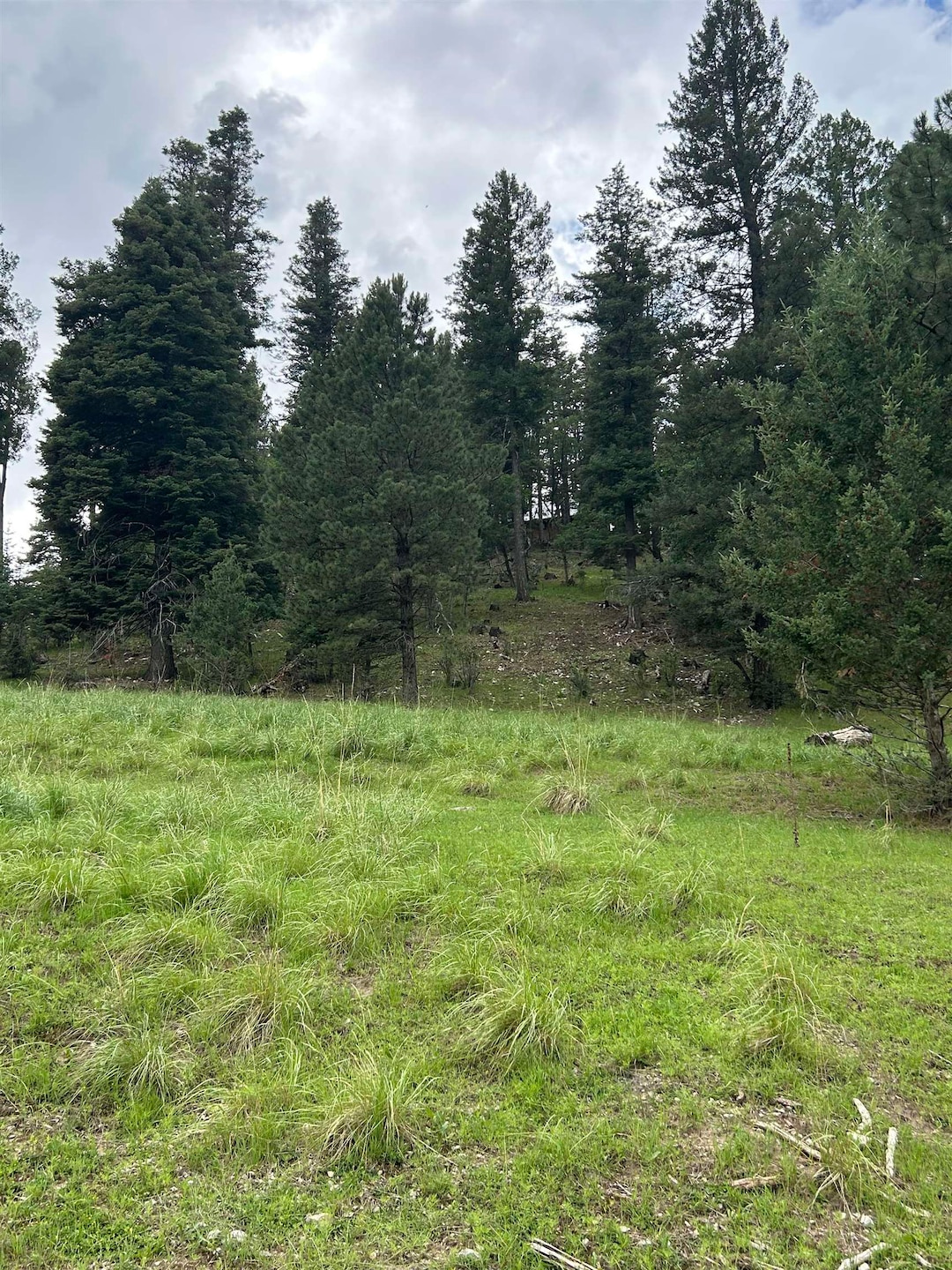 0 Trading Post Rd unit 66 170435, Cloudcroft, NM 88317 - photo 1