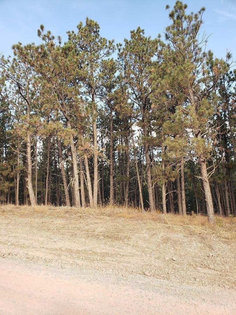 Sold $120,000 • Co-Listing Agent