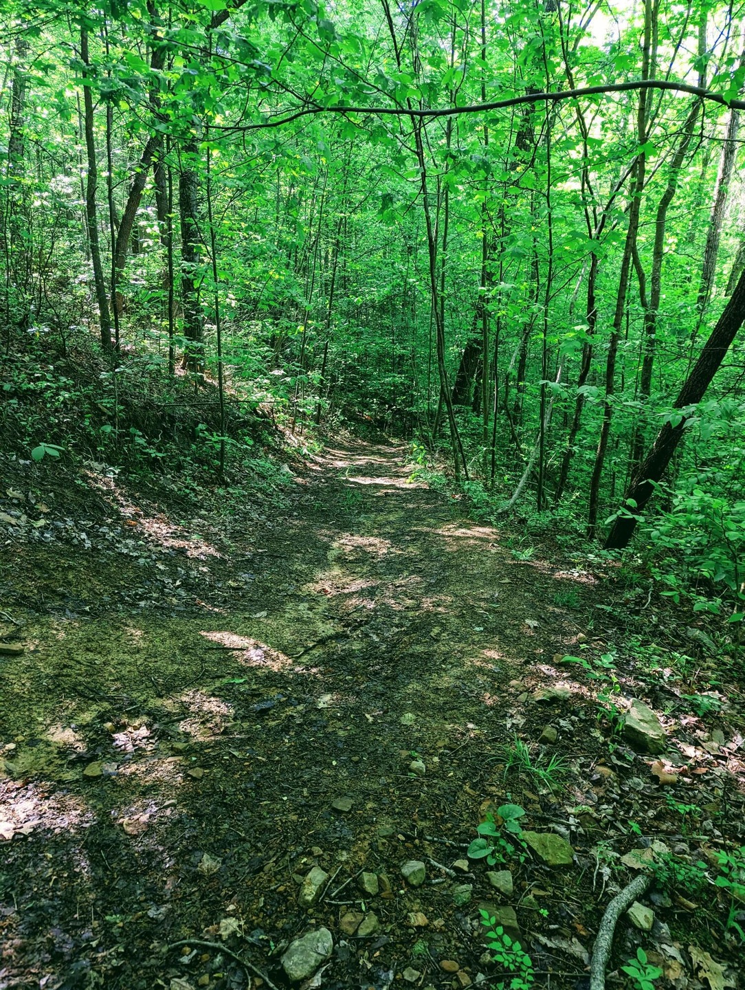 Tbd Rachels Chapel Rd, Coeburn, VA 24230 MLS 9960182