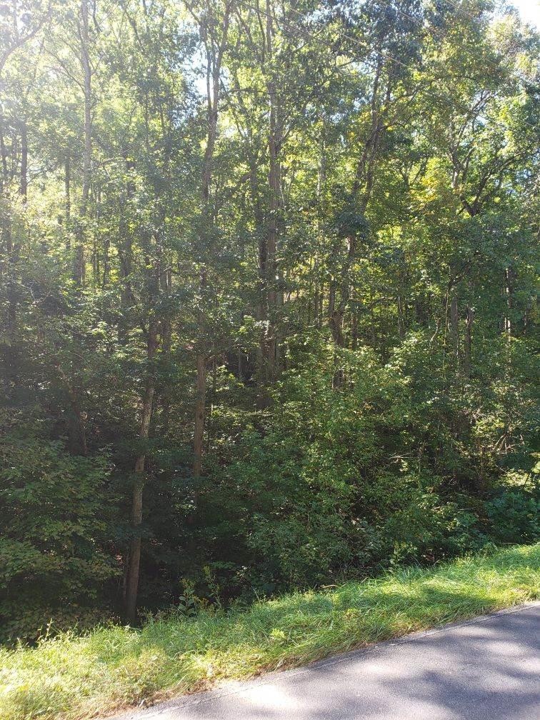 2410 Spangle Rd, Morristown, TN 37814 - photo 1