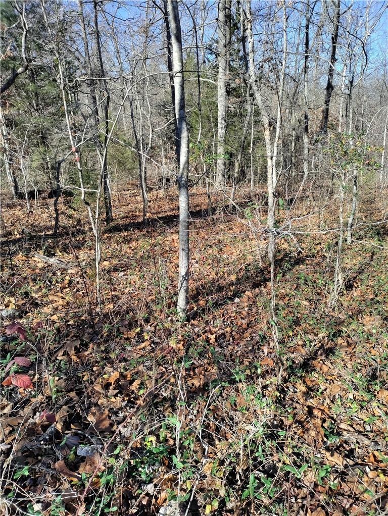 1 Munster Dr, Bella Vista, AR 72715 - photo 1