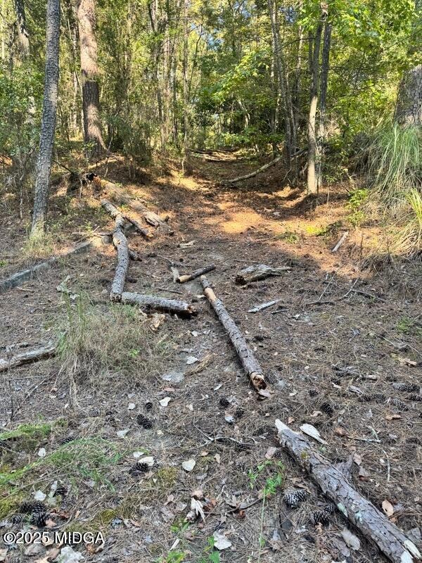 1949 Deerwood Place, Macon, GA 31211 - photo 1