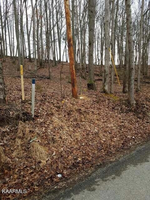 old cave springs road lot 3 road 2