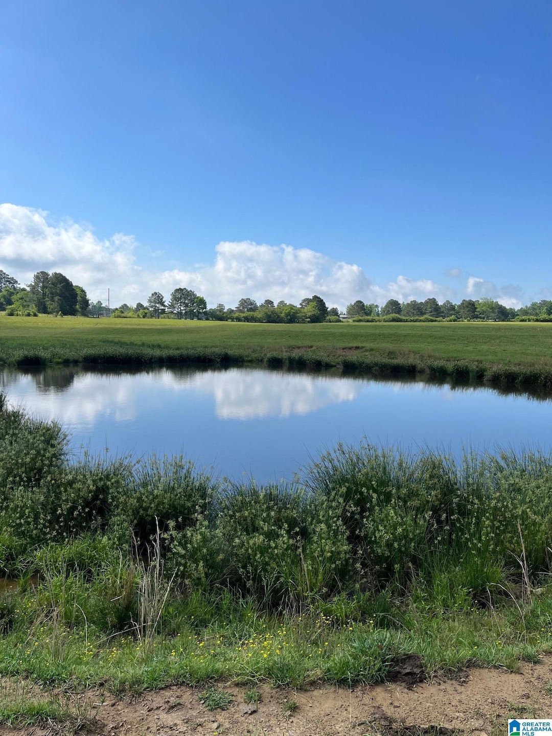 0 Morton Rd unit 21423587, Oneonta, AL 35121 - photo 1