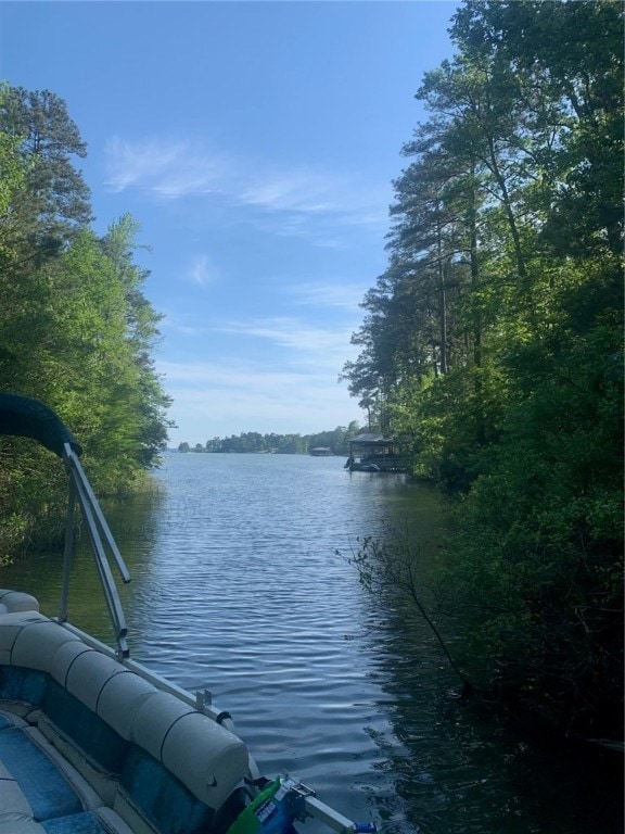 Lot 1 and 2 Amber Dr, Jacksons Gap, AL 36861 - photo 1